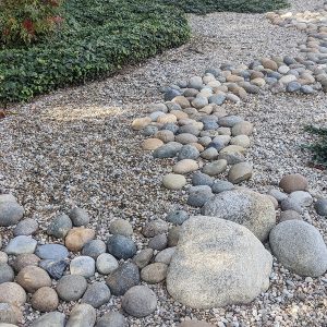 Decorative Rock Gravel